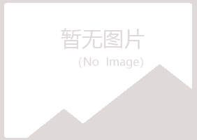 白城字迹司机有限公司